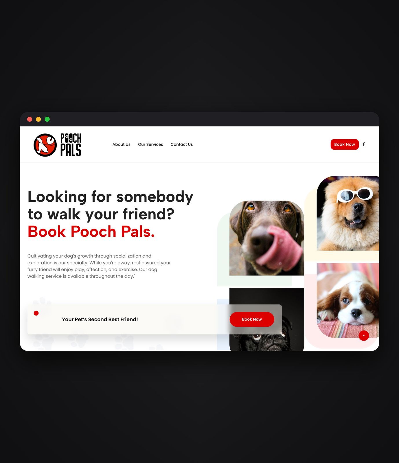 Pooch Pals dog walking website on desktop